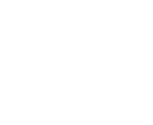 Injir Hair